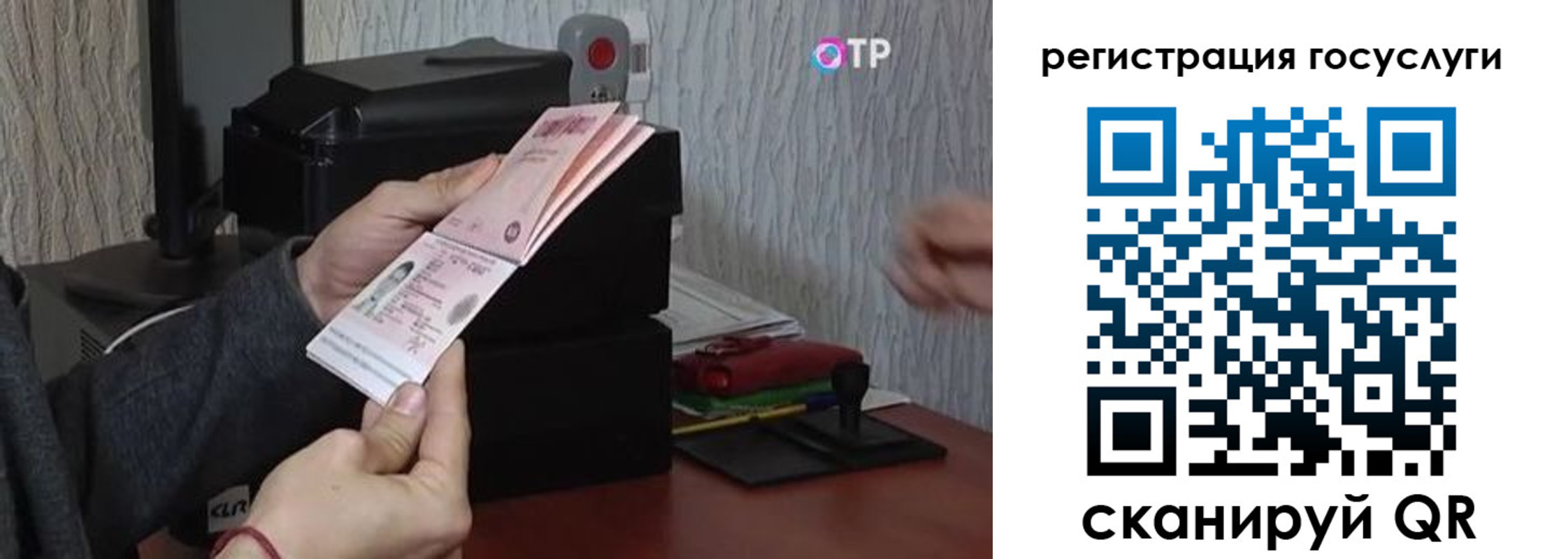 прописка для работы в Полярных Зорях